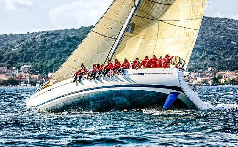 米乐yy易游体育App下载赛富乐斯《揭秘日本足球界传奇：16年最强足球运动员是谁？》