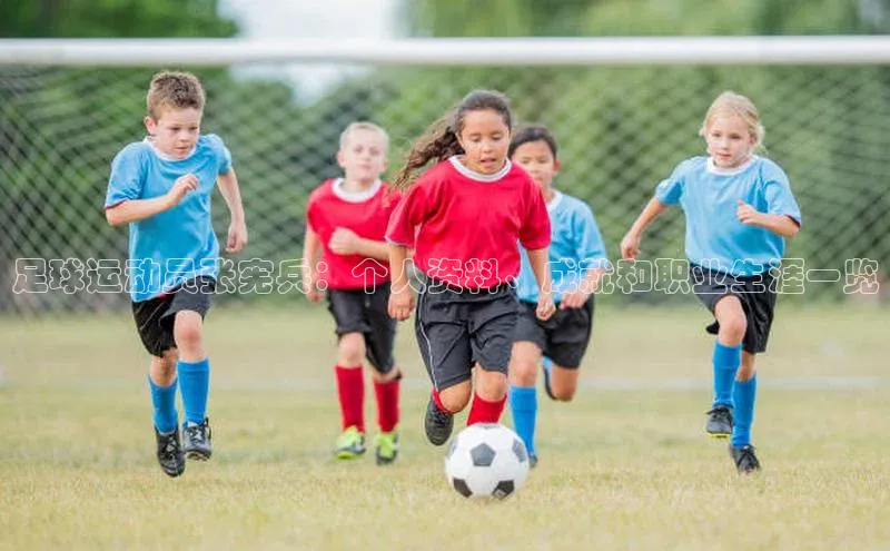 YY易游体育网址百度手机输入法足球运动员张宪兵：个人资料、成就和职业生涯一览