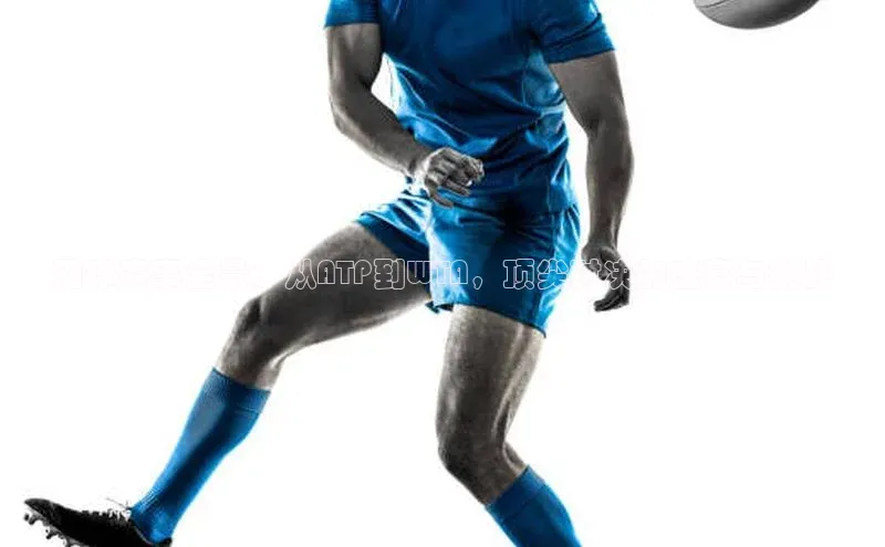 网球赛事全景：从ATP到WTA，顶尖对决的盛宴与挑战