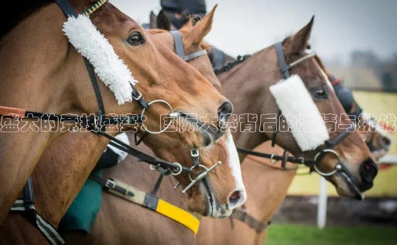 盛大的竞技盛宴：国际大赛背后的激情与挑战