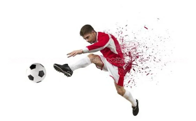 云端视野下的马术盛事：2023年国际马术大奖赛最新资讯与比赛亮点分析