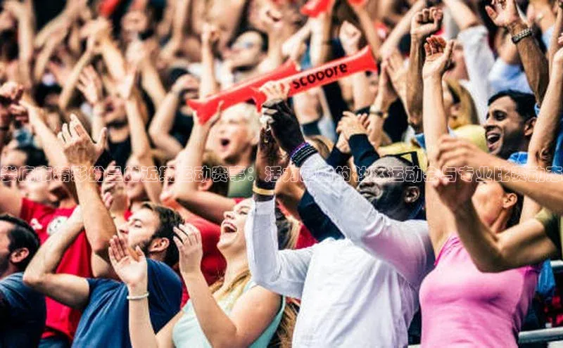 娄底市精彩纷呈的近期运动赛事：活力四射的社区运动会与专业比赛动态