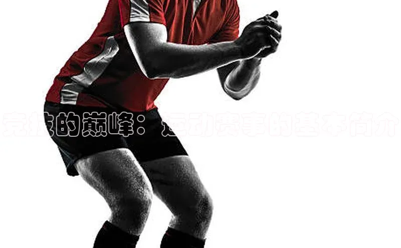 竞技的巅峰：运动赛事的基本简介