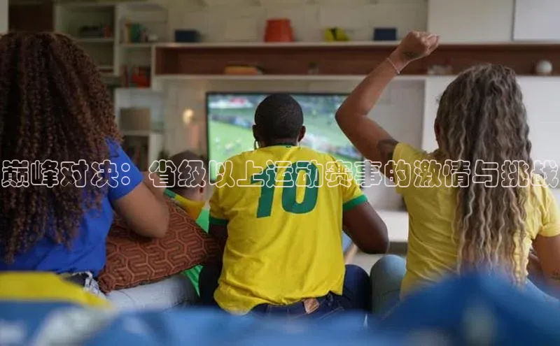 巅峰对决：省级以上运动赛事的激情与挑战