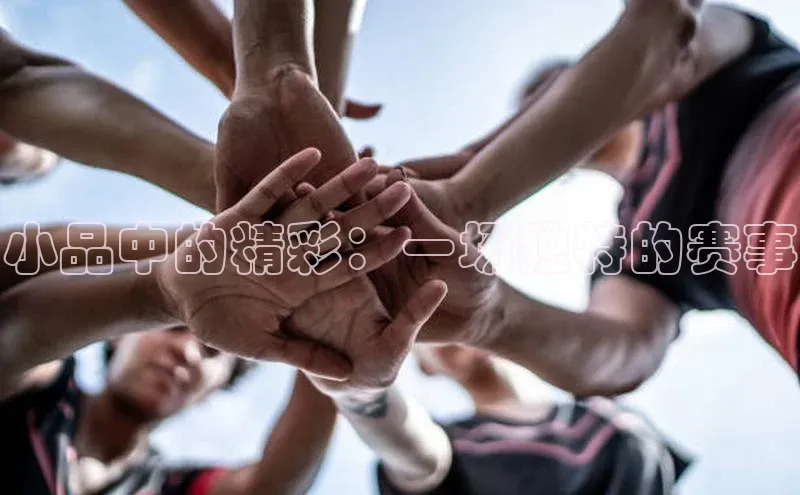 小品中的精彩：一场独特的赛事