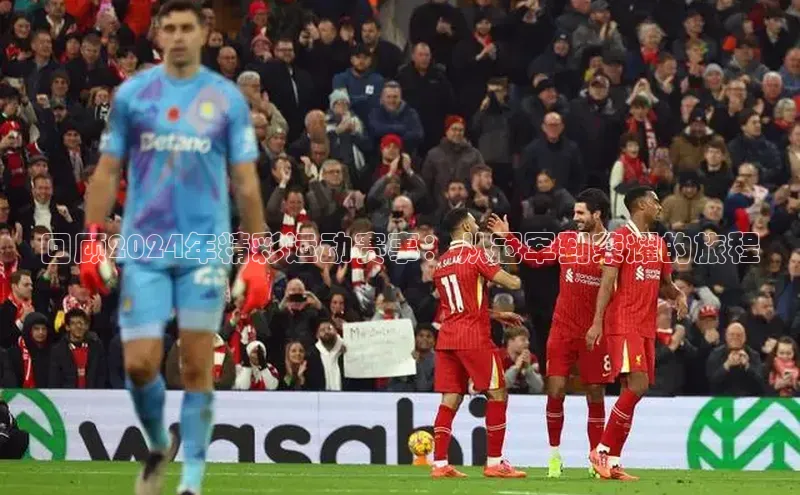 回顾2024年精彩运动赛事：从冠军到荣耀的旅程