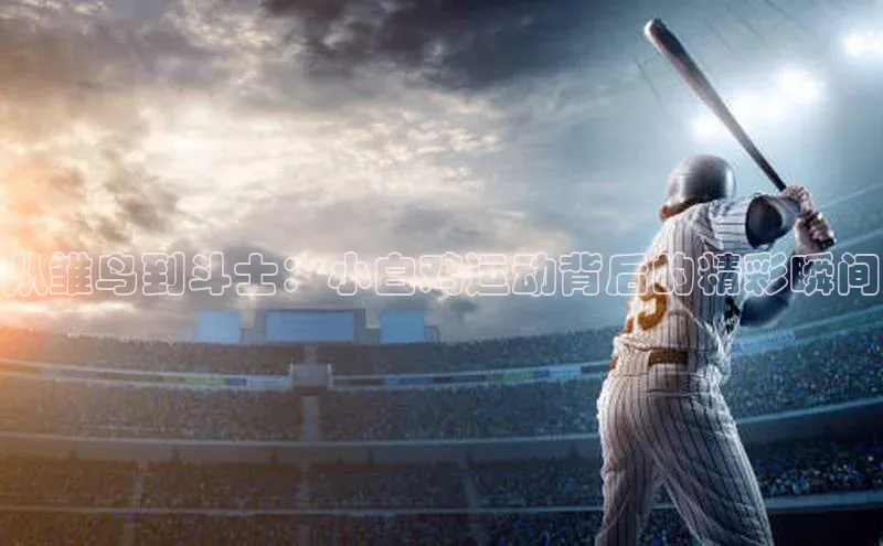 从雏鸟到斗士：小白鸡运动背后的精彩瞬间