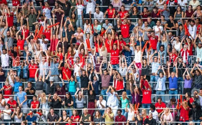 散打运动：回顾与展望的赛事历史