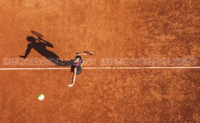 顺德市运动会泳池上的风采：精彩赛事与运动员的荣耀时刻