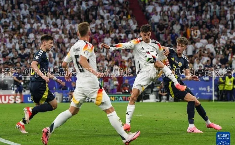 米乐m6官网登录入口 下载