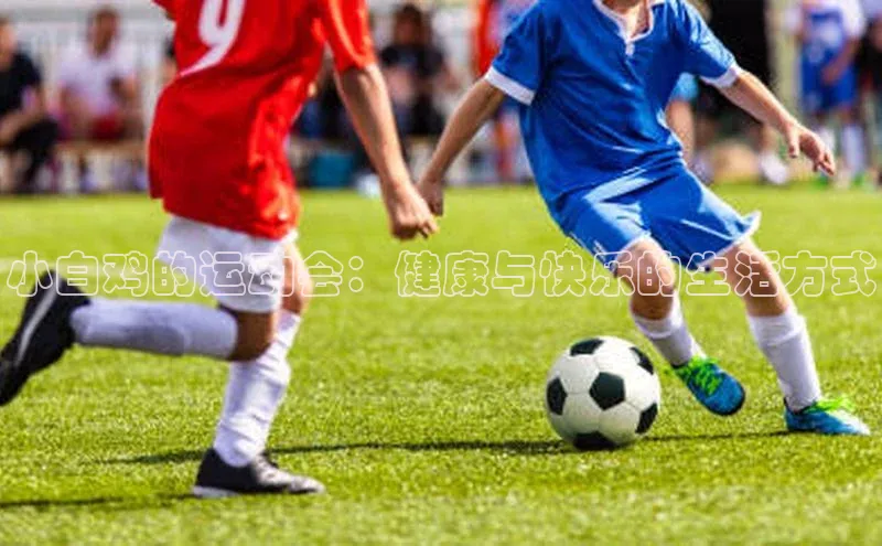 米乐yy易游下载官网