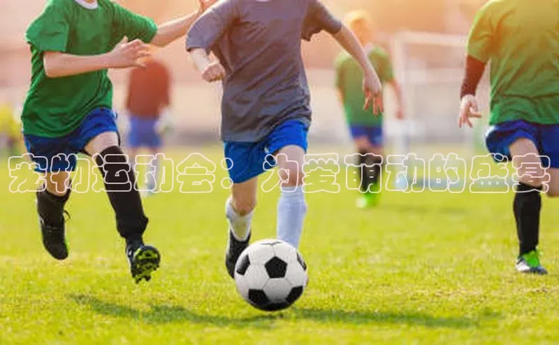 易游体育app官方下载