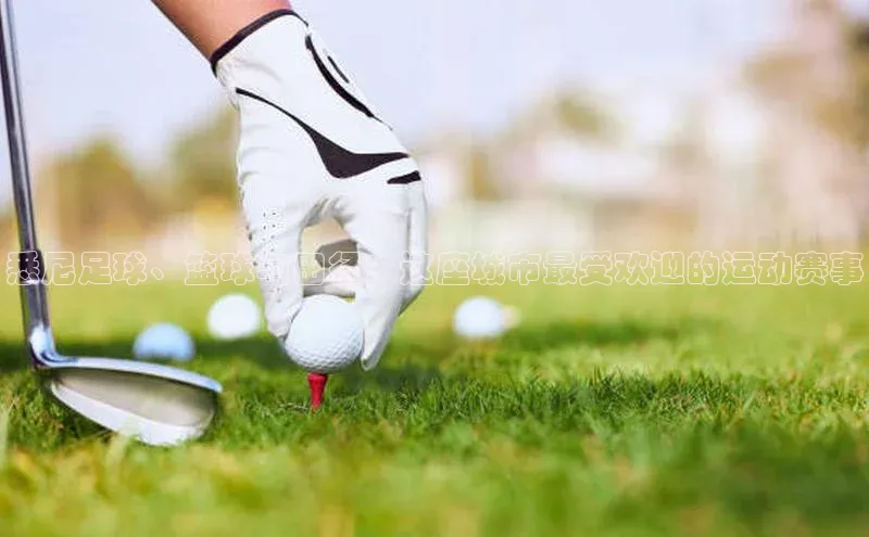 易游体育app下载