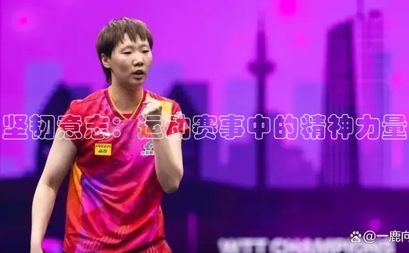易游m6